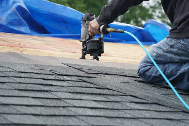 Best Flat Roof Repair Services  in West Columbia, TX